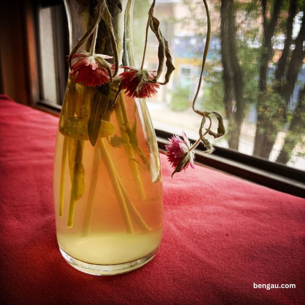 Održavanje vaza za cvijeće